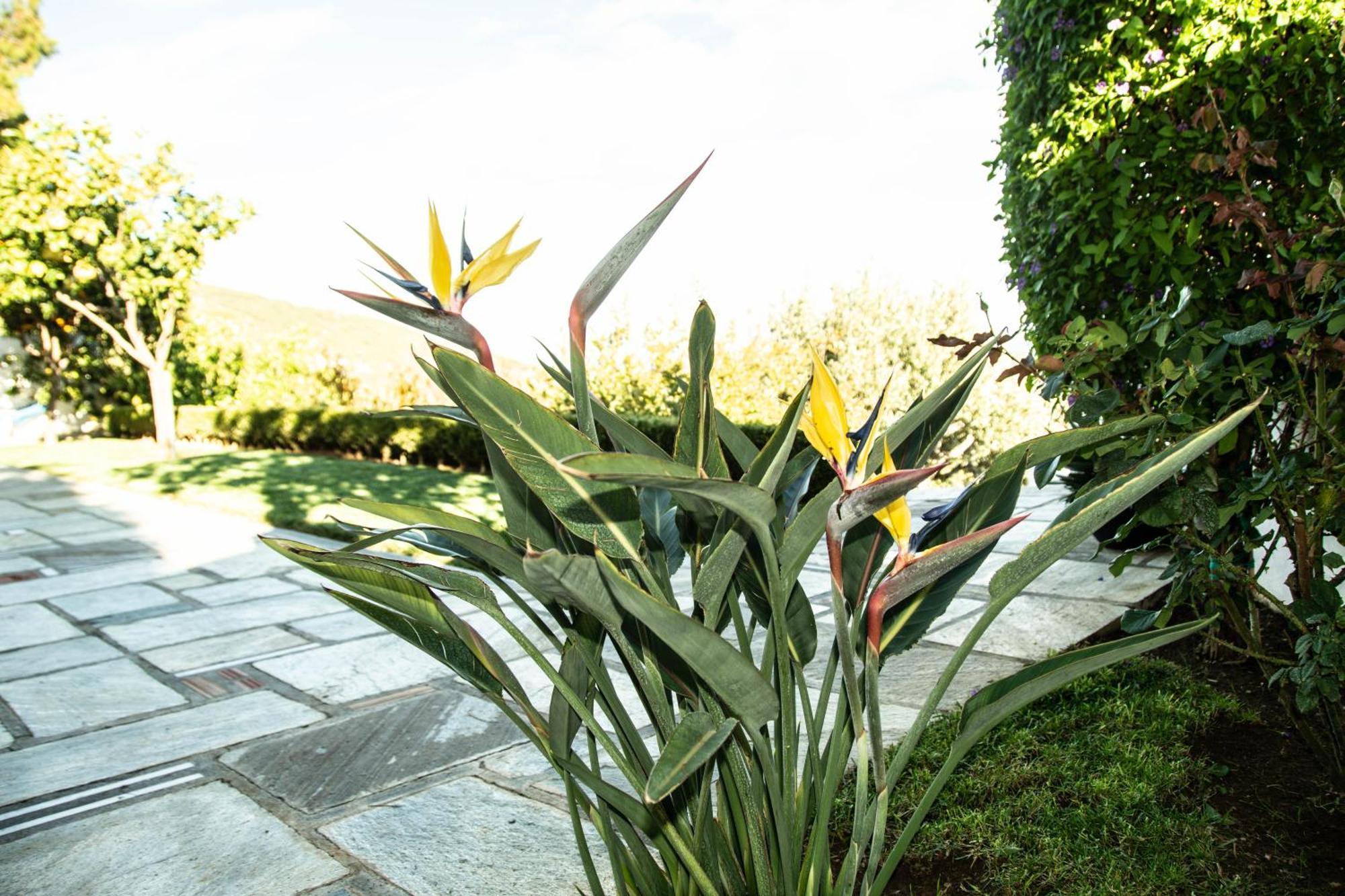 Maya'S Home Dhaskalion ภายนอก รูปภาพ