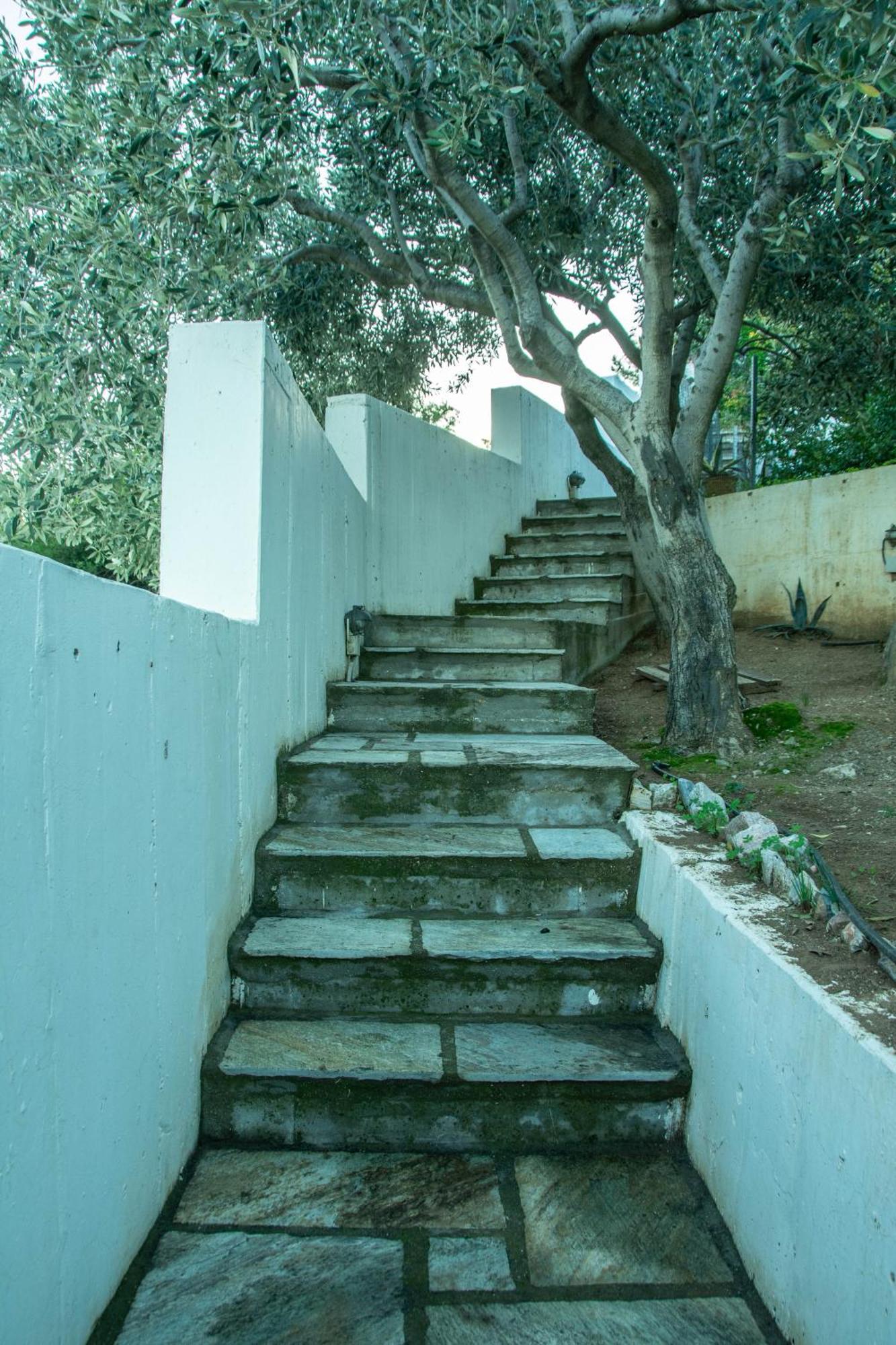 Maya'S Home Dhaskalion ภายนอก รูปภาพ